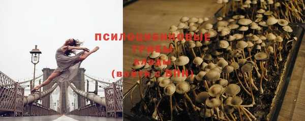 Альфа ПВП Пересвет